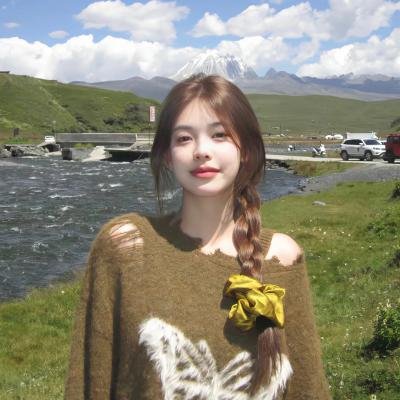 阿波狸合战