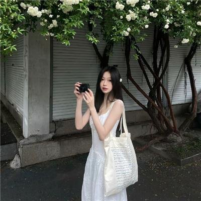 鲨与鲸